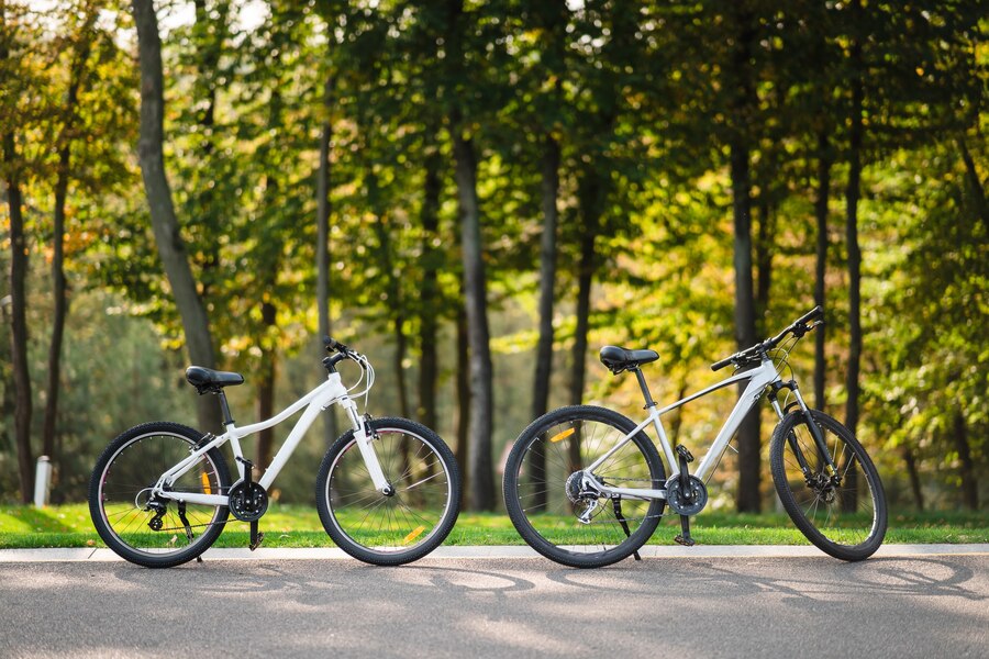 Construindo Sua Bike: Como Escolher o Quadro de Bicicleta Ideal